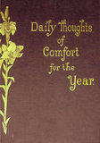 Daily Thoughts of Comfort